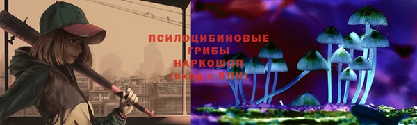 шишки Баксан