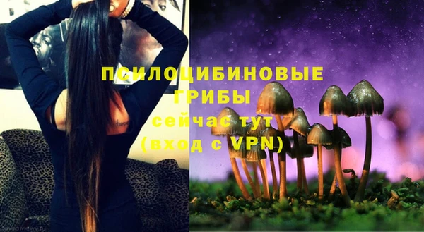 спайс Балабаново