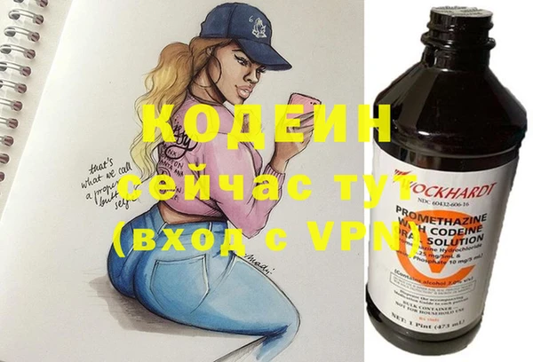 шишки Баксан