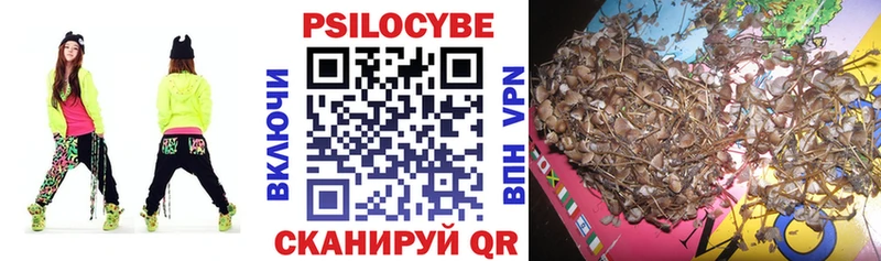 хочу наркоту  Красноуральск  Псилоцибиновые грибы Magic Shrooms 